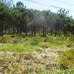 Summer Breeze וילה