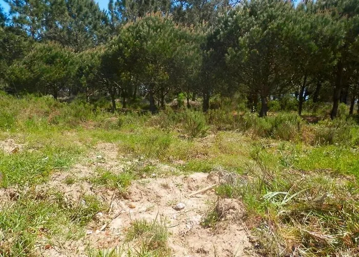 ヴィラ Summer Breeze アルジェズール