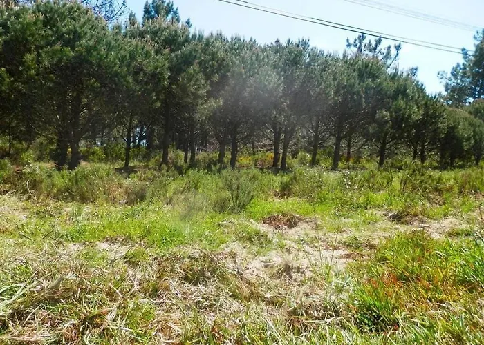 Summer Breeze ヴィラ